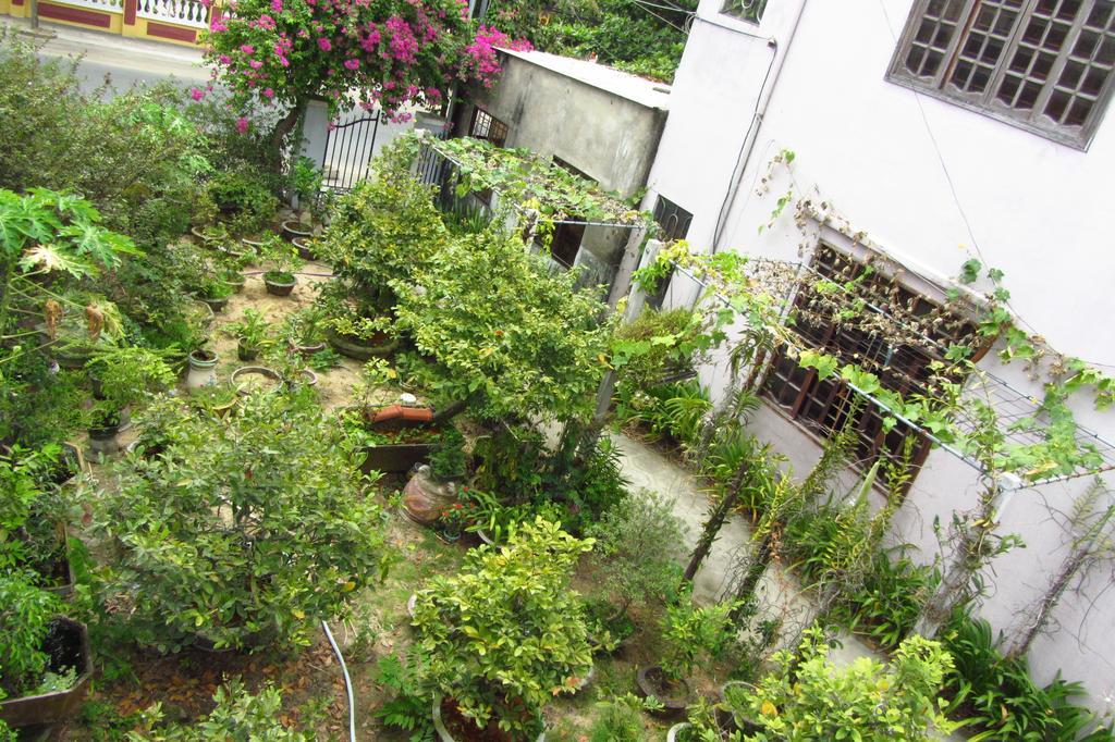 Charming Homestay Хойан Экстерьер фото
